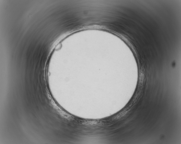 X0000115211054200912091153