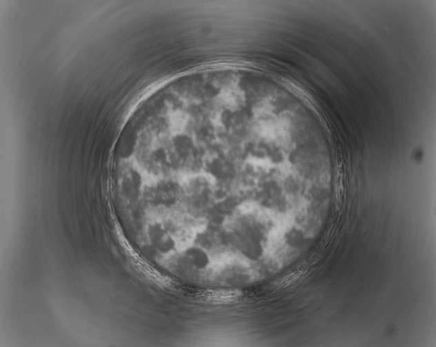 X0000115211055200912091153