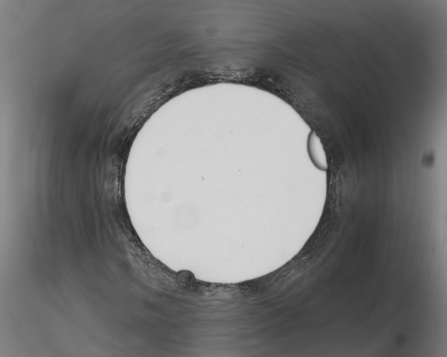 X0000115211058200912091153