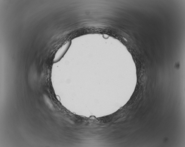 X0000115211061200912091153