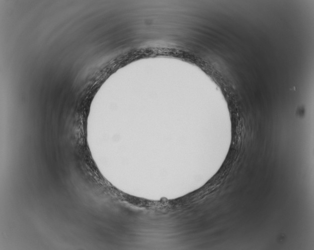 X0000115211062200912091153