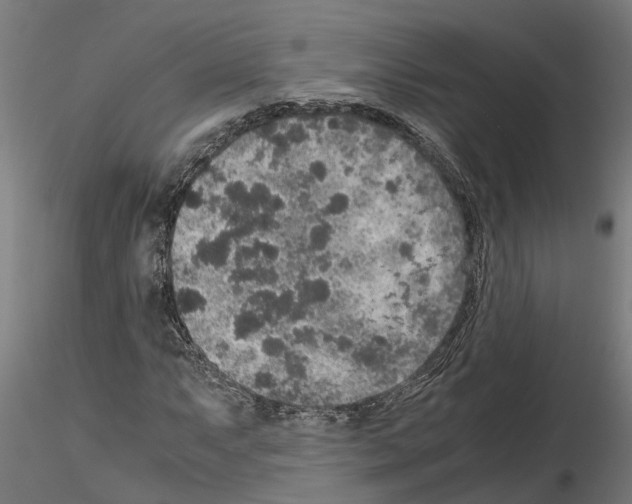 X0000115211063200912091153