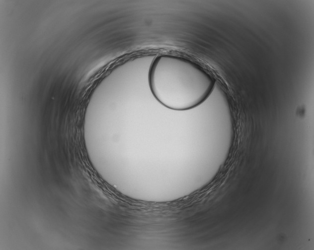 X0000115211064200912091153