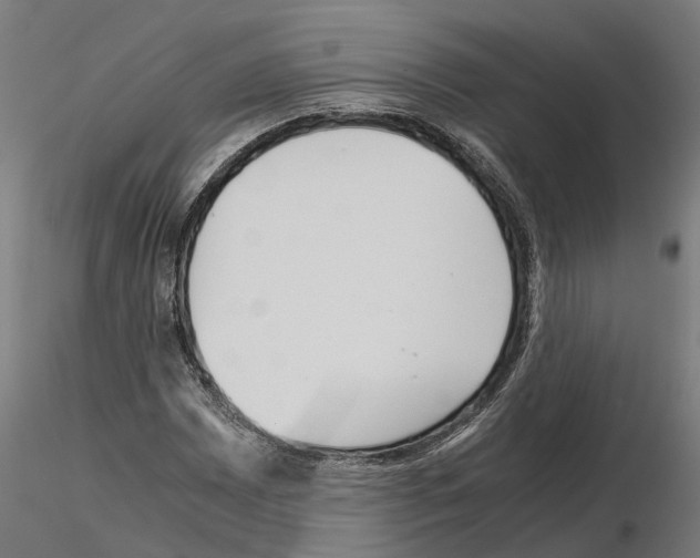 X0000115211065200912091153