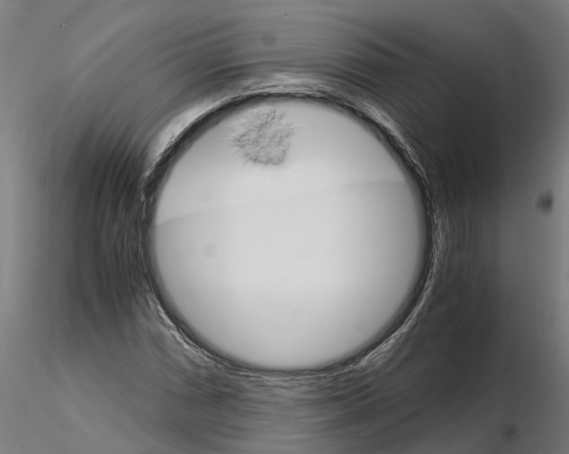 X0000115211066200912091153