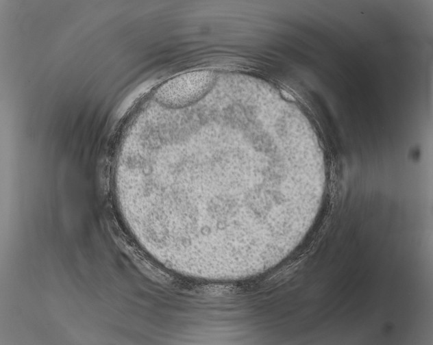 X0000115211067200912091153