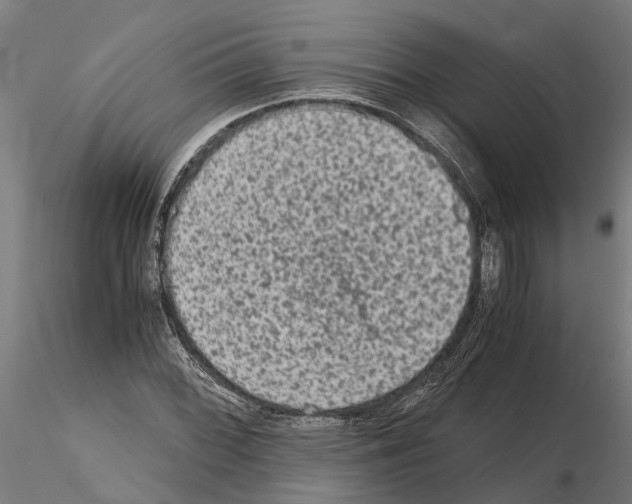 X0000115211068200912091153