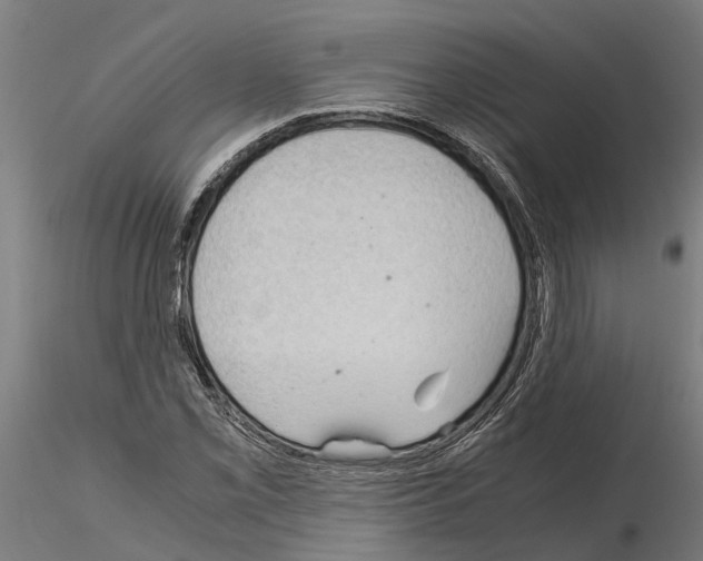 X0000115211069200912091153