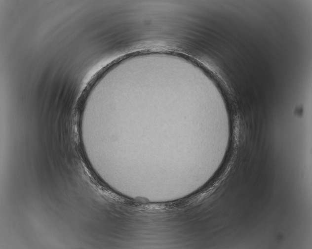 X0000115211070200912091153