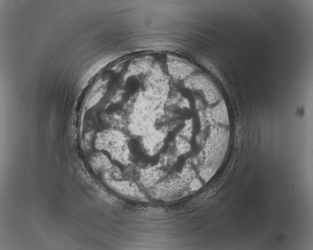 X0000115211071200912091153