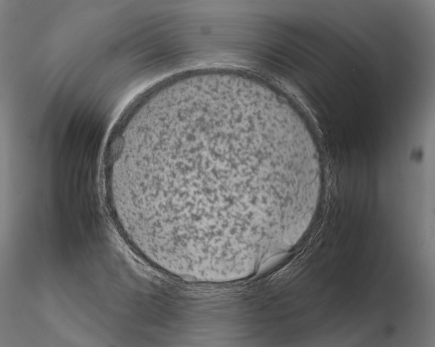 X0000115211072200912091153