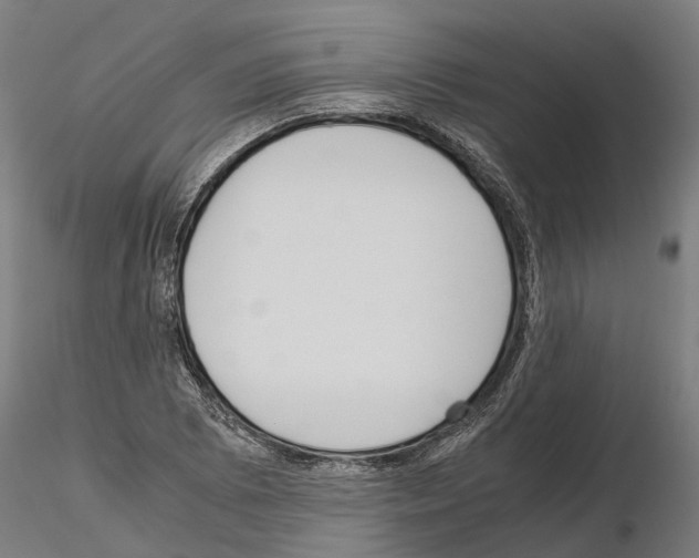 X0000115211073200912091153