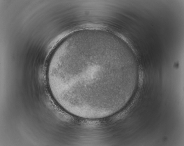 X0000115211074200912091153