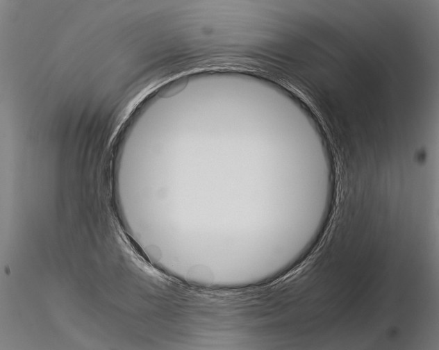 X0000115211075200912091153