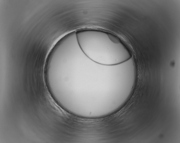 X0000115211076200912091153