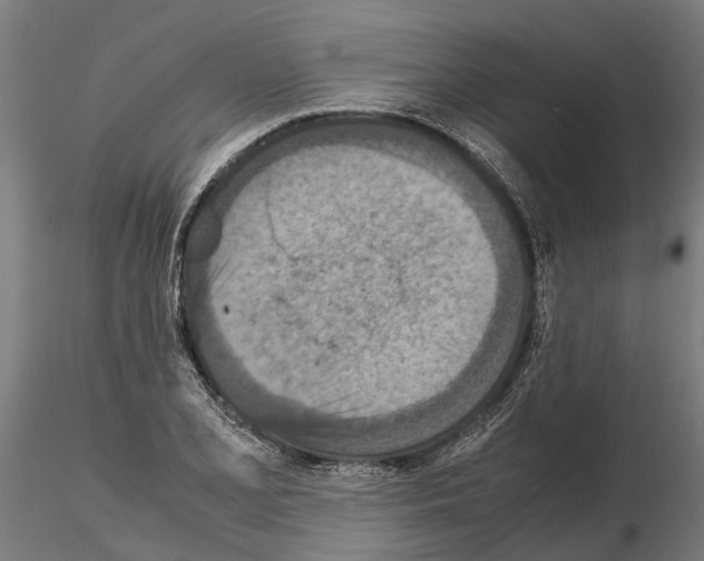 X0000115211077200912091152