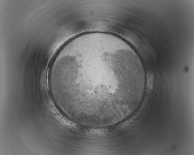 X0000115211078200912091152