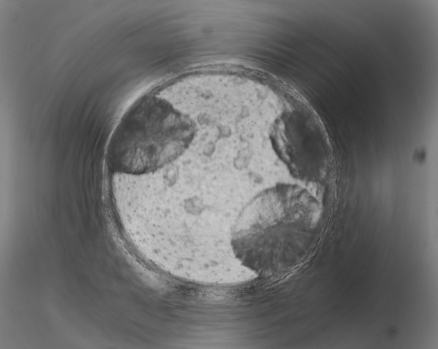 X0000115211079200912091152