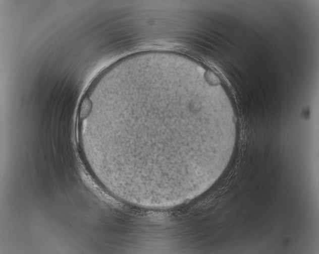 X0000115211080200912091152