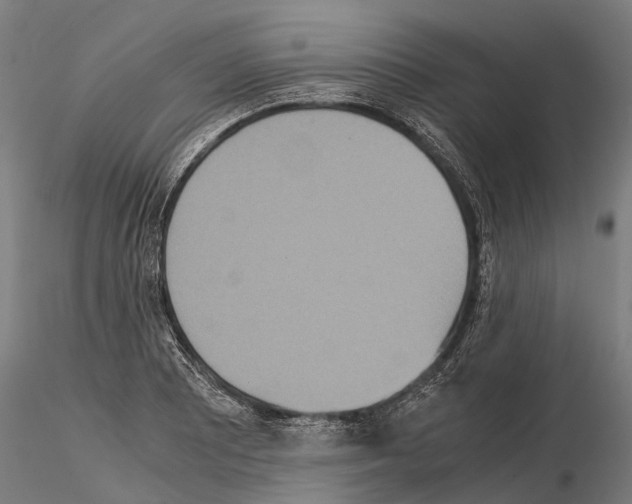 X0000115211081200912091152