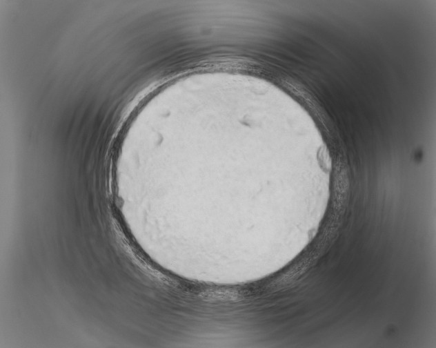 X0000115211083200912091152