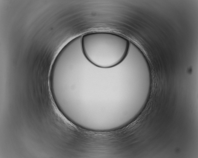 X0000115211084200912091152