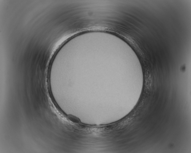 X0000115211086200912091152