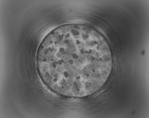 X0000115211087200912091152