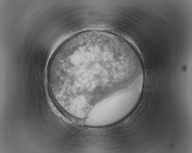 X0000115211088200912091152