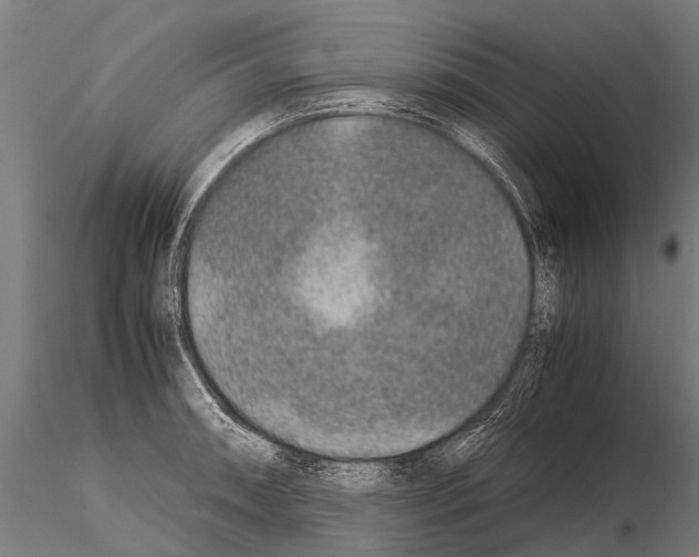 X0000115211090200912091152