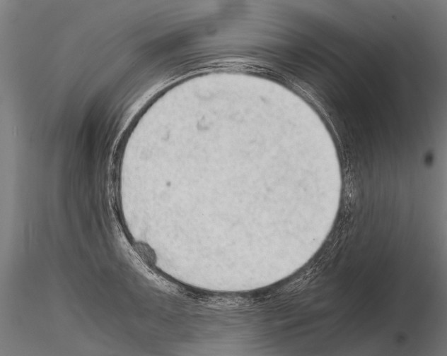 X0000115211091200912091152