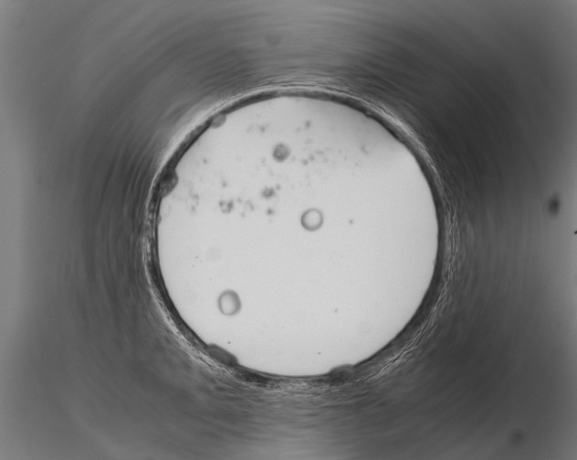 X0000115211093200912091152