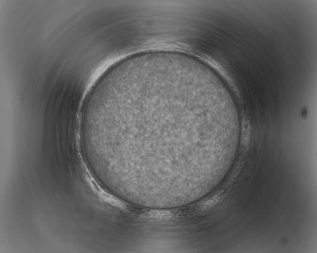 X0000115211094200912091152