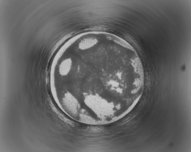 X0000115211095200912091152