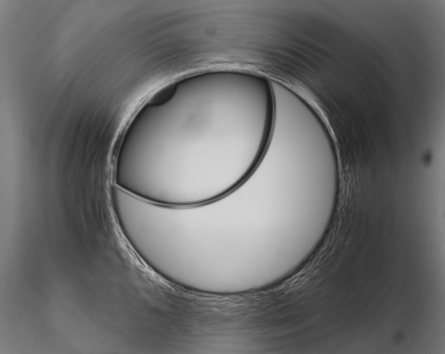 X0000115211096200912091152