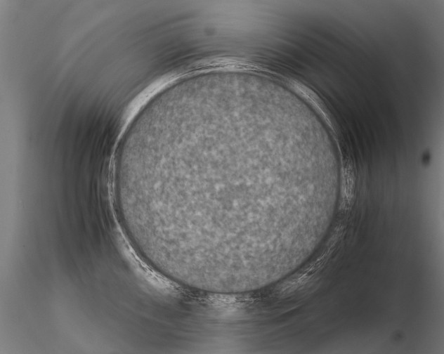 X0000115211098200912091152