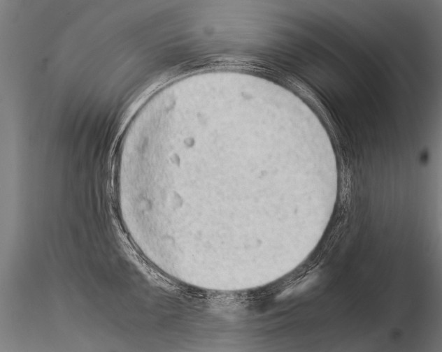 X0000115211099200912091152