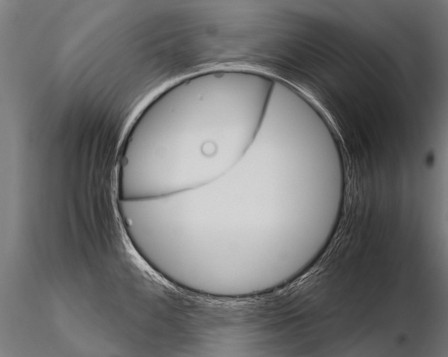 X0000115211100200912091152