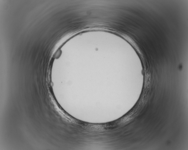 X0000115211101200912091152