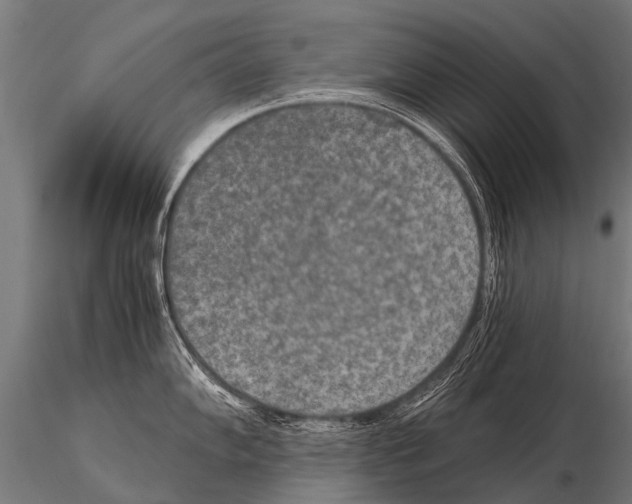 X0000115211102200912091152