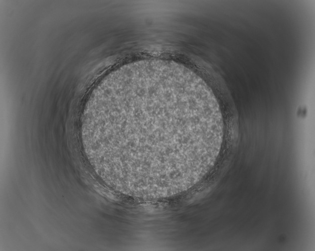 X0000115211105200912091151