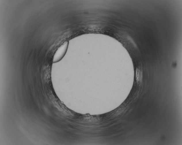 X0000115211107200912091151