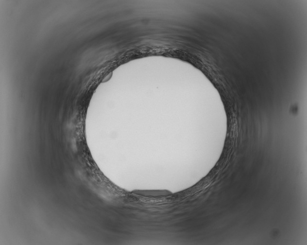 X0000115211109200912091152