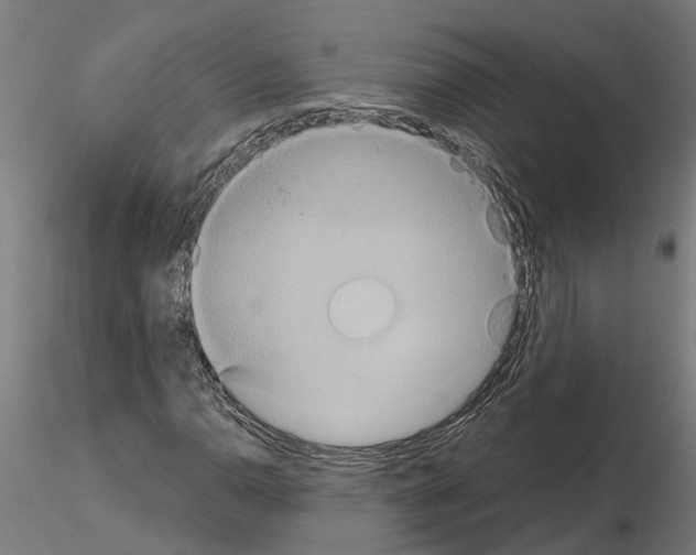 X0000115211110200912091152