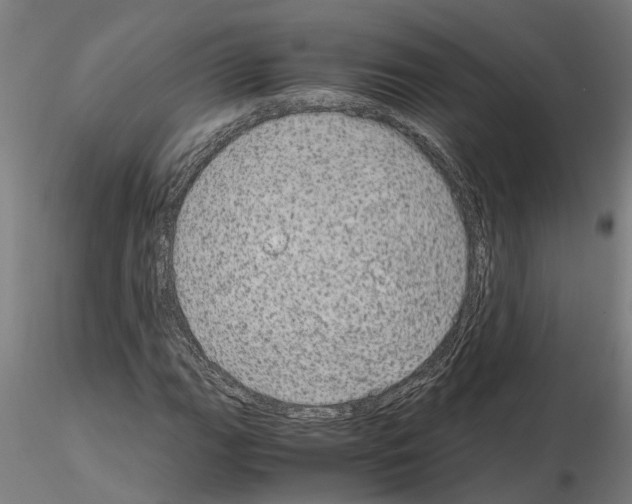 X0000115211111200912091152