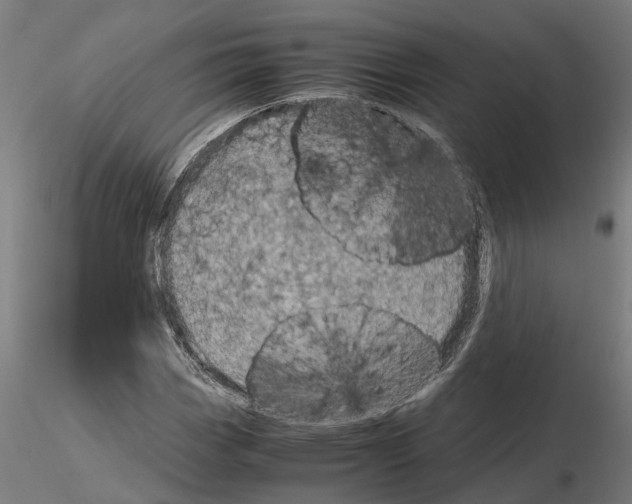 X0000115211113200912091152