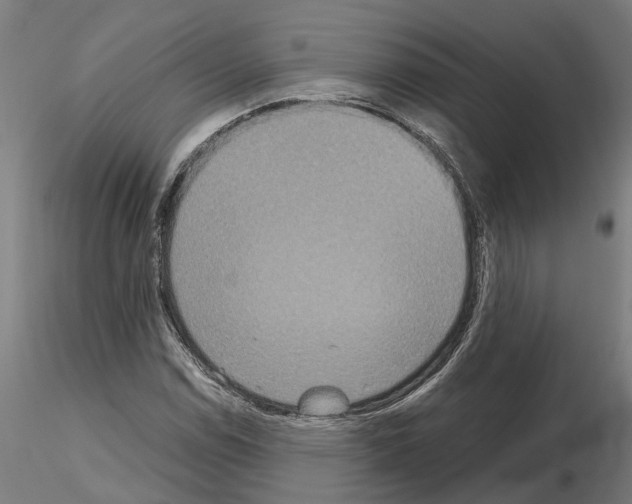 X0000115211114200912091152