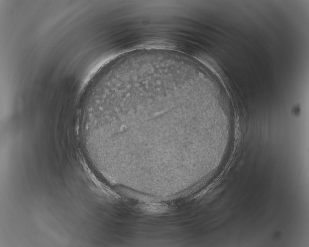 X0000115211115200912091152