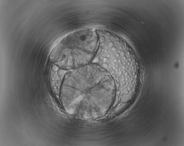 X0000115211117200912091152