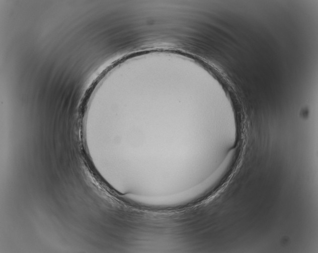 X0000115211118200912091152